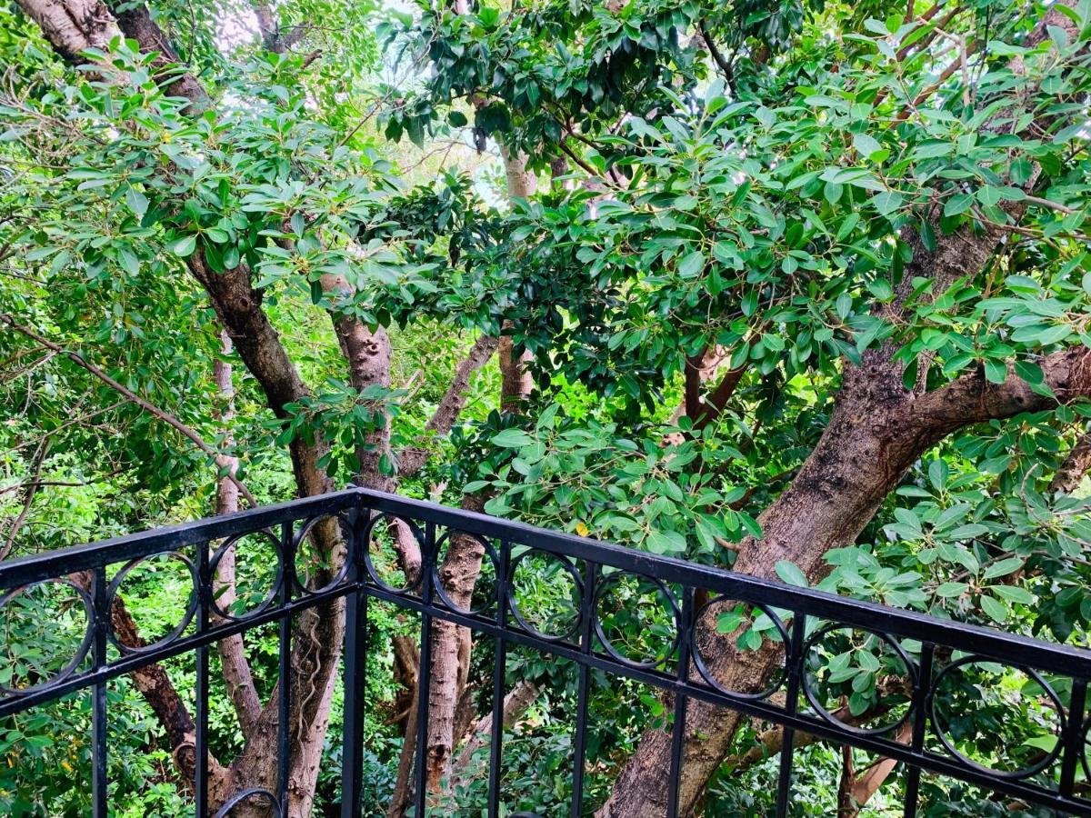 Bed & Breakfast Antilope 3*