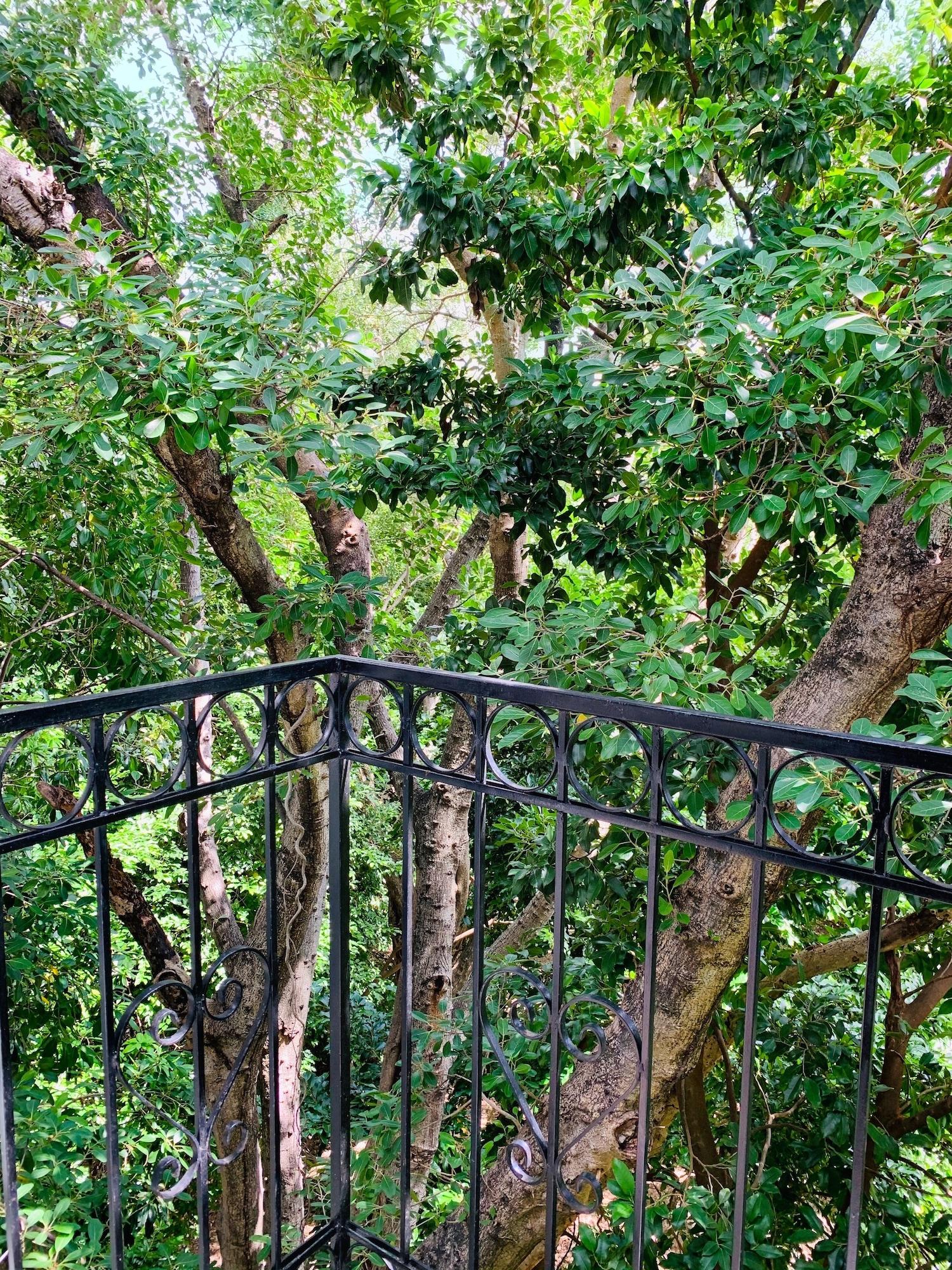 Antilope Bed & Breakfast Cancun